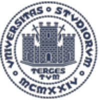 University of Trieste