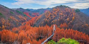 daejeon