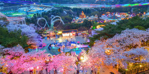 daegu
