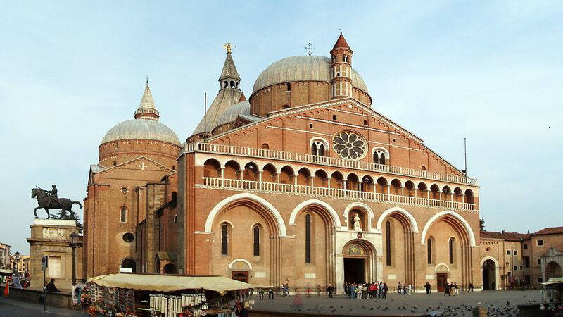 University Of Padua