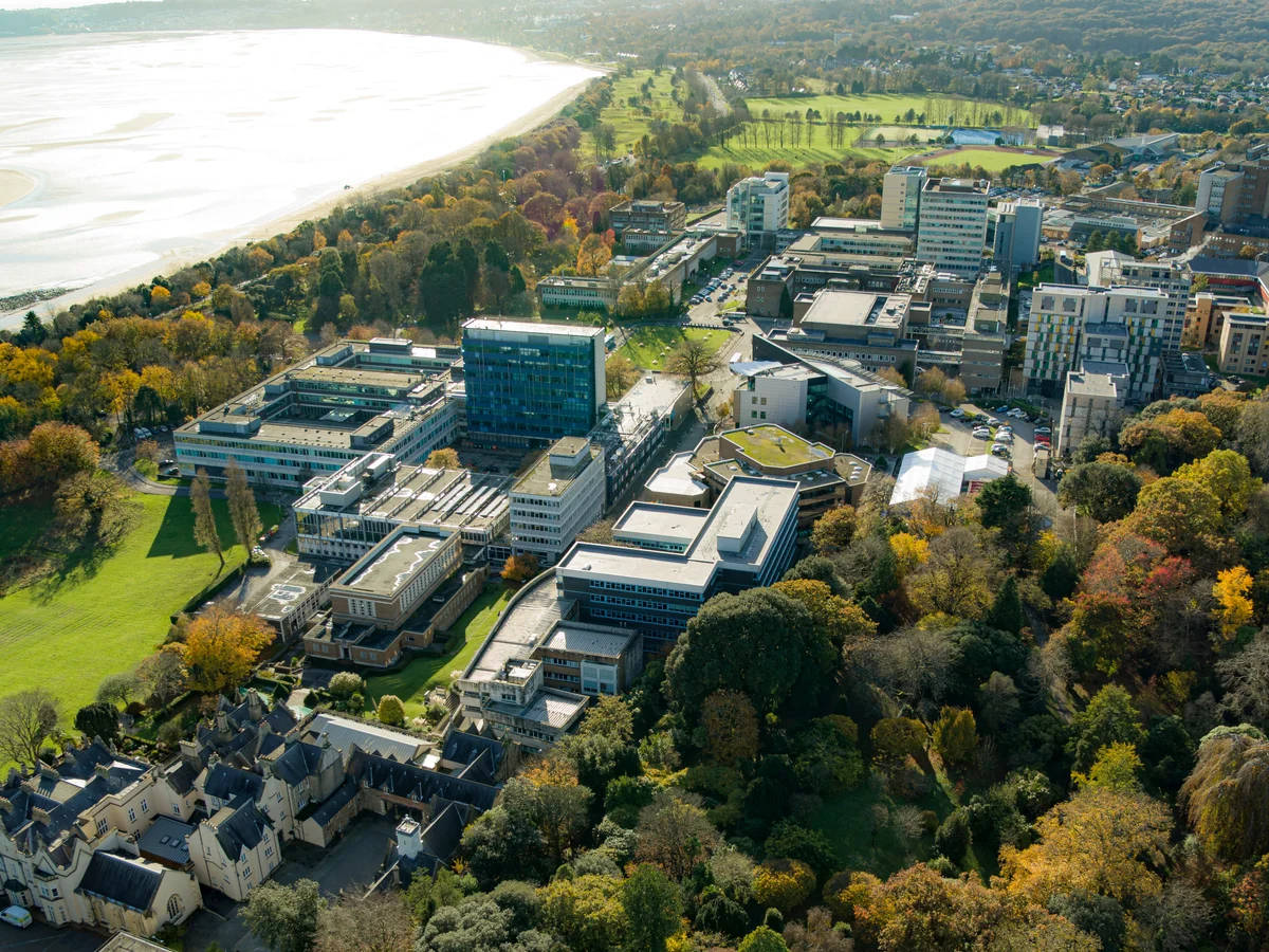 Swansea University