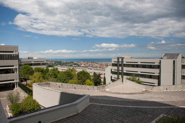 Marche Polytechnic University