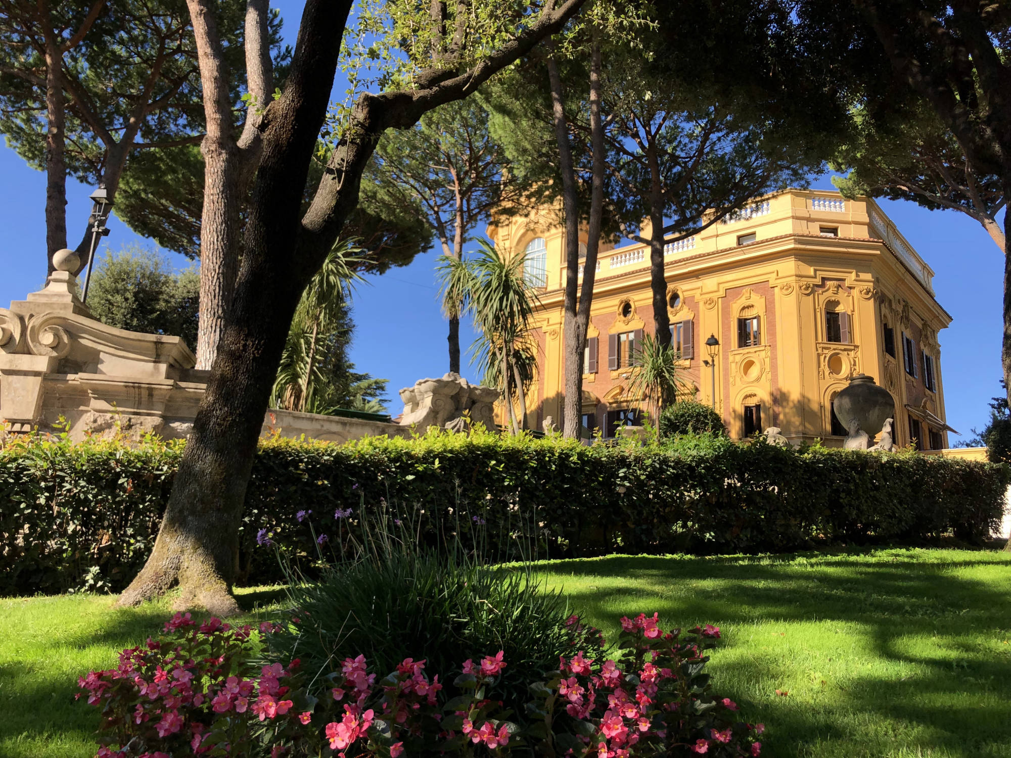 Luiss Guido Carli University