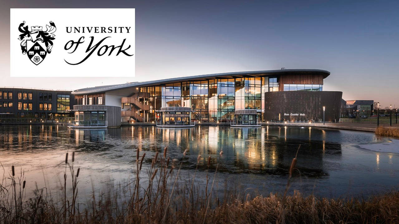 The University Of York