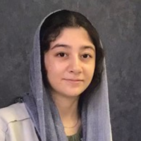 نارین ا.